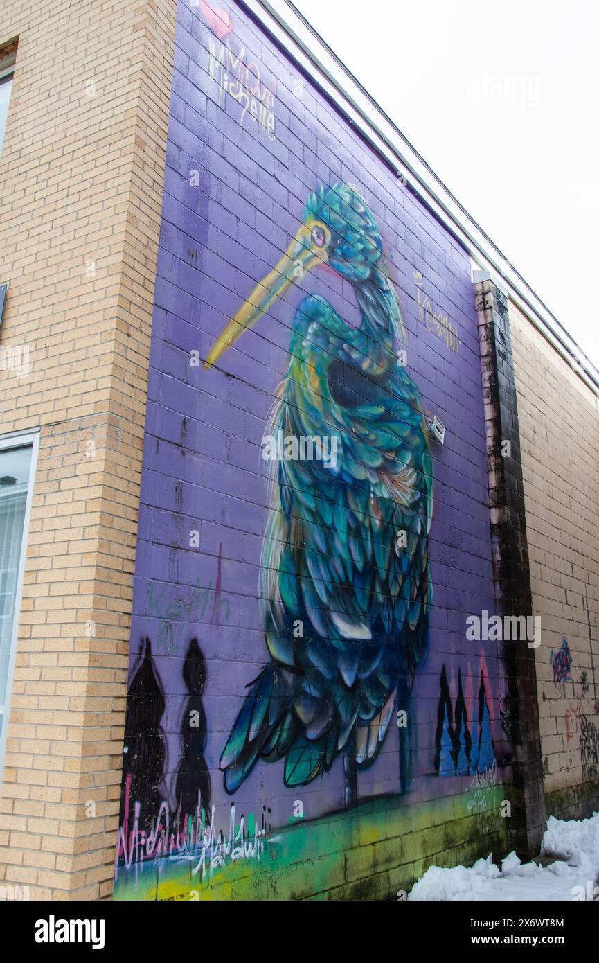Murale d'un oiseau bleu debout à Miramichi, Nouveau-Brunswick, Canada Banque D'Images