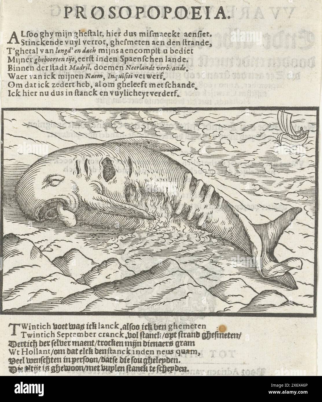 Cadavre d'une baleine pilote échouée sur la plage entre Scheveningen et Katwijk, 20 septembre 1608, Prosopopoeia (titre sur l'objet), véritable exposition et image d'un poisson mort et à moitié pourri, jeté sur la plage par cette mer, le 20 septembre de Maent (...) montrant le peuplement et l'état du Conincx de Spaignien et sa tromperie dans le wtganck de ce gheopenbaert de Vrede-handel (titre sur l'objet), la carcasse à moitié pourrie d'une baleine pilote échouée sur la plage entre Scheveningen et Katwijk, le 20 septembre 1608. Utilisé comme illustration au verso du titre dans un pamphlet contre Banque D'Images