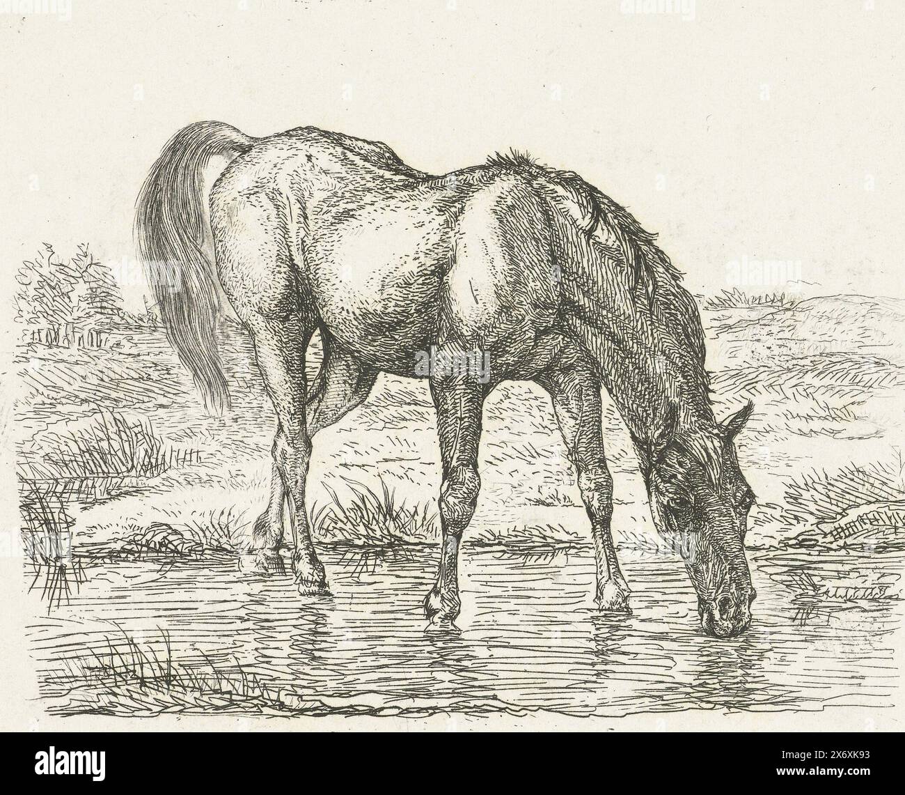 Cheval à boire, impression, imprimeur : Jan Dasveldt, Amsterdam, 1780 - 1855, papier, gravure, hauteur, 84 mm × largeur, 107 mm Banque D'Images