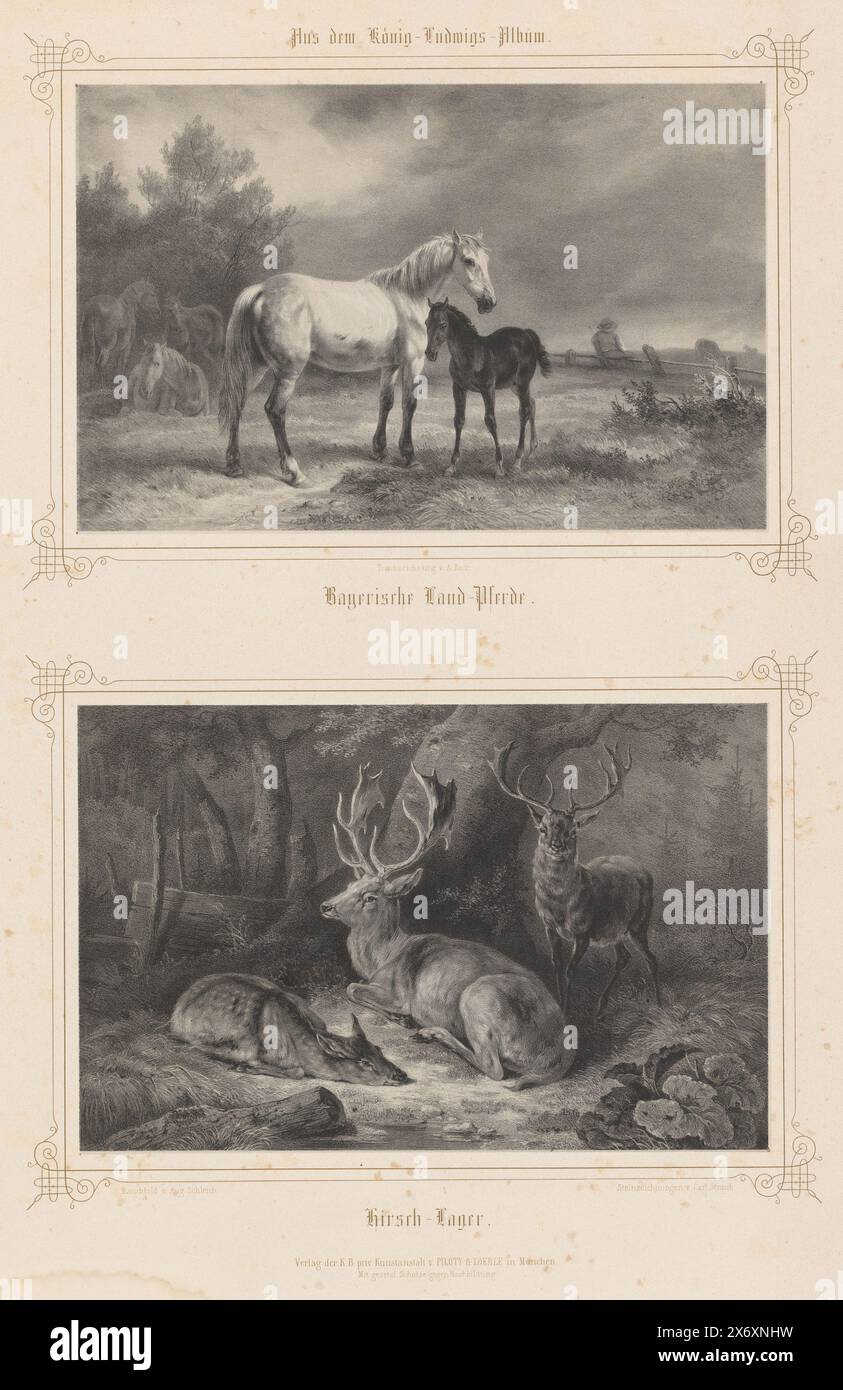 Chevaux dans un pré et cerfs dans une forêt, Bayerische Land-Pferde (titre sur objet), Hirsch-Lager (titre sur objet), album présenté à Louis Ier de Bavière (titre de la série), album König-Ludwigs (titre de la série sur objet), estampe, graveur : Carl Straub, (mentionné sur objet), après dessin par: Alois Bach, (mentionné sur l'objet), d'après conception par : August Schleich, (mentionné sur l'objet), München, 1850 - 1859, papier, hauteur, 585 mm × largeur, 440 mm Banque D'Images