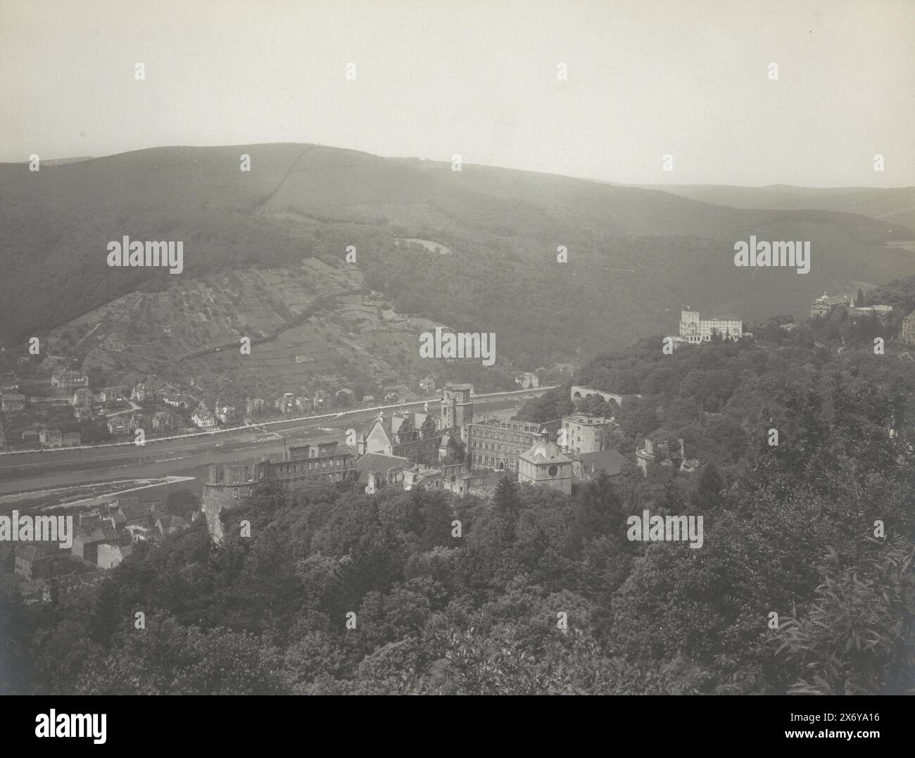 Schloss Heidelberg vu du Molkenkur, Heidelberg. Schloss von der Molkenkur aus. (Titre sur l'objet), partie d'album photo avec plans de Heidelberg et Schloss Heidelberg., photographie, anonyme, Heidelberg, 1903, support photographique, tirage argenté gélatineux, hauteur, 195 mm × largeur, 243 mm Banque D'Images