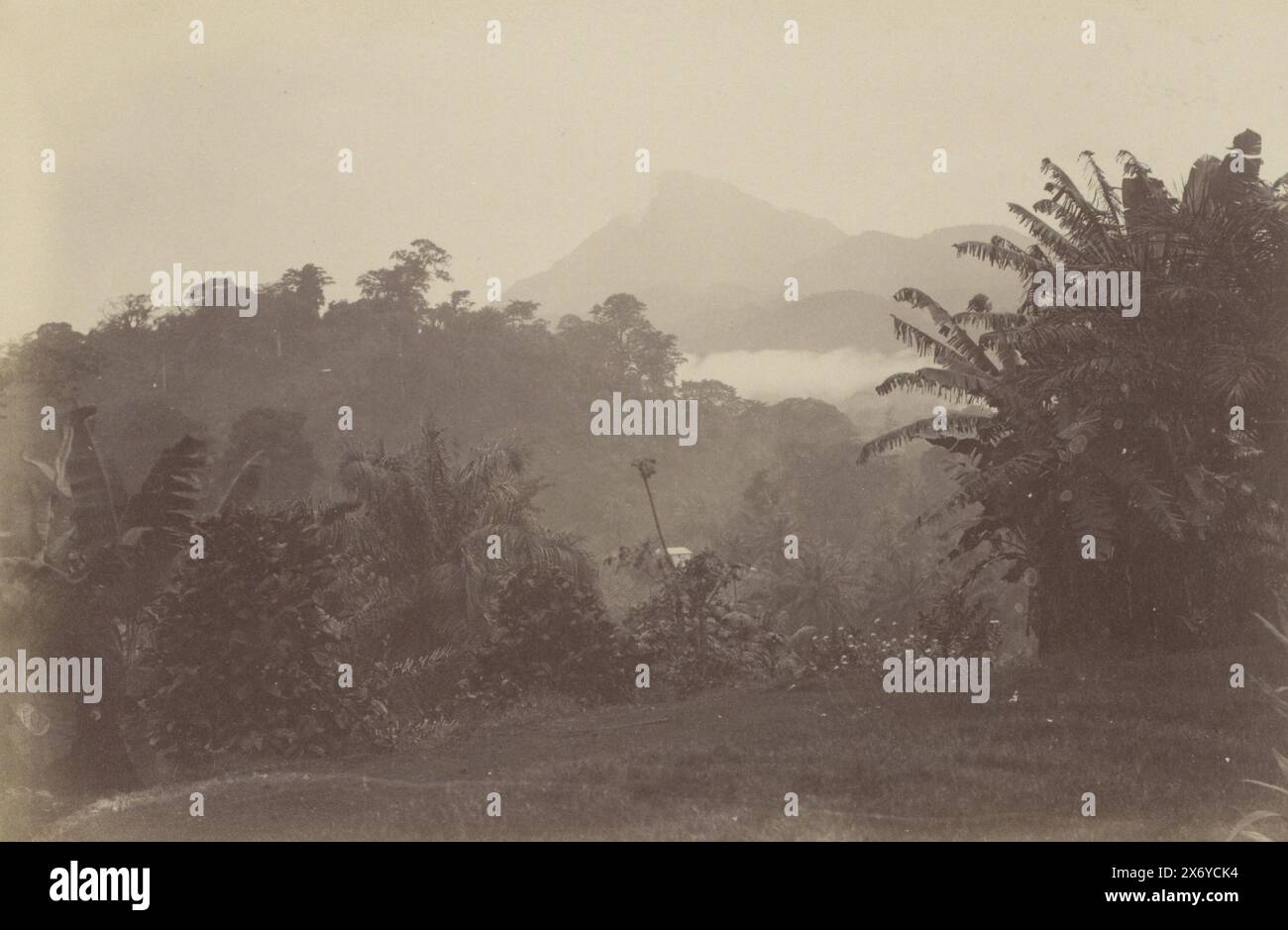 Vue du Mont Cameroun depuis Victoria (Cameroun), partie de l'album photo avec des plans du Cameroun vers 1899., photographie, anonyme, Kameroen, 1899, support photographique, tirage albumine, hauteur, 131 mm × largeur, 194 mm Banque D'Images