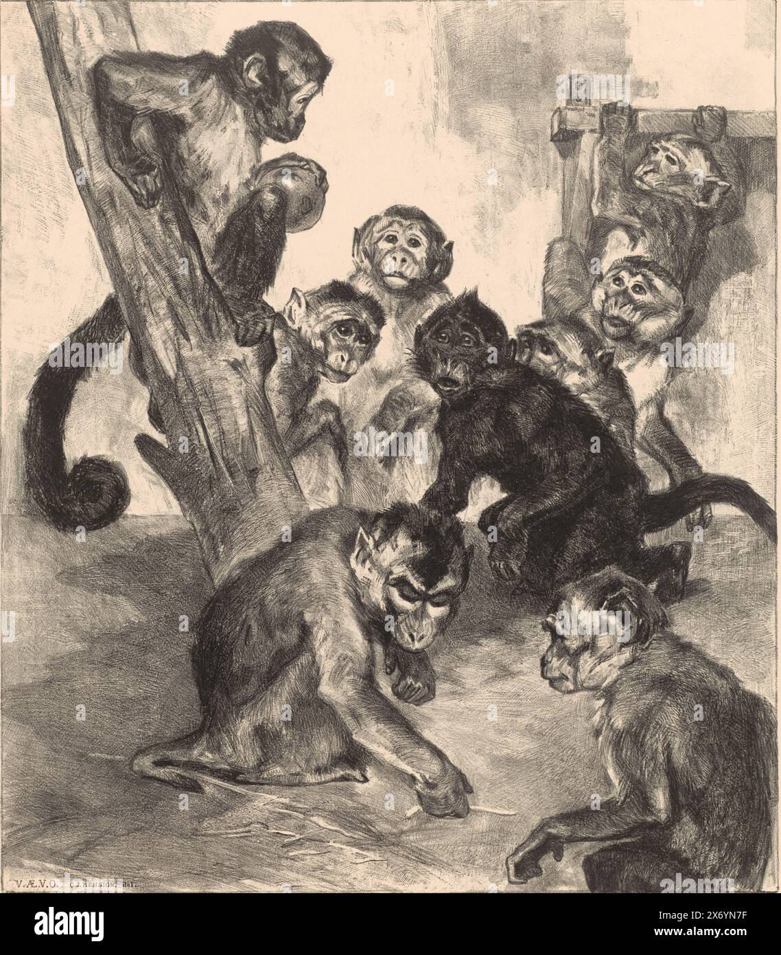 Singes, estampe, imprimeur : Cornelis Jan mension, 1892 - 1929, papier Banque D'Images