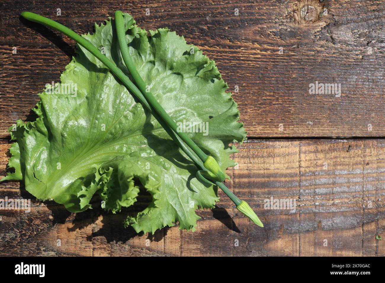 Vue de dessus des légumes verts sur la table rustique, gros plan Banque D'Images