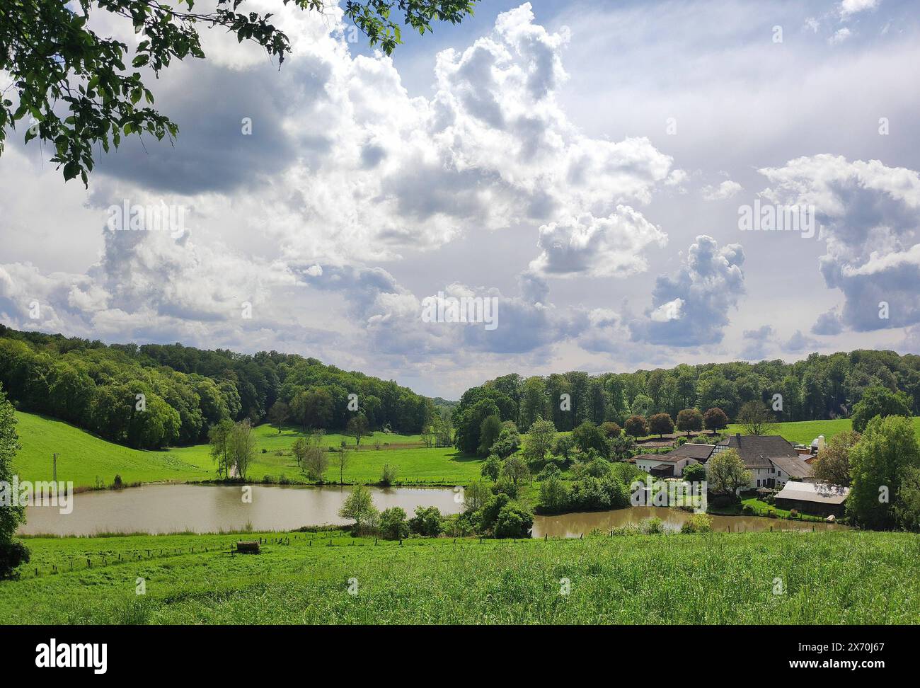 Sonnige Wanderung in Düsseldorf Im mai lud das malerische Rotthäuser Bachtal in Düsseldorf zu einem erholsamen Wandertag ein. Diese natürliche Oase bietet Wanderern die Möglichkeit, die Schönheit der Natur in unmittelbarer Nähe der Stadt zu erleben. DAS sanfte Rauschen des Baches begleitet die Besucher auf ihrem Weg durch das Tal, während sie von einer Vielzahl von Pflanzen und Tieren umgeben sind * en mai 2024, le pittoresque Rotthaeuser Bachtal de Düsseldorf a invité les visiteurs à profiter d'une journée de randonnée. Cette oasis naturelle offre aux randonneurs la possibilité de découvrir la beauté de natur Banque D'Images