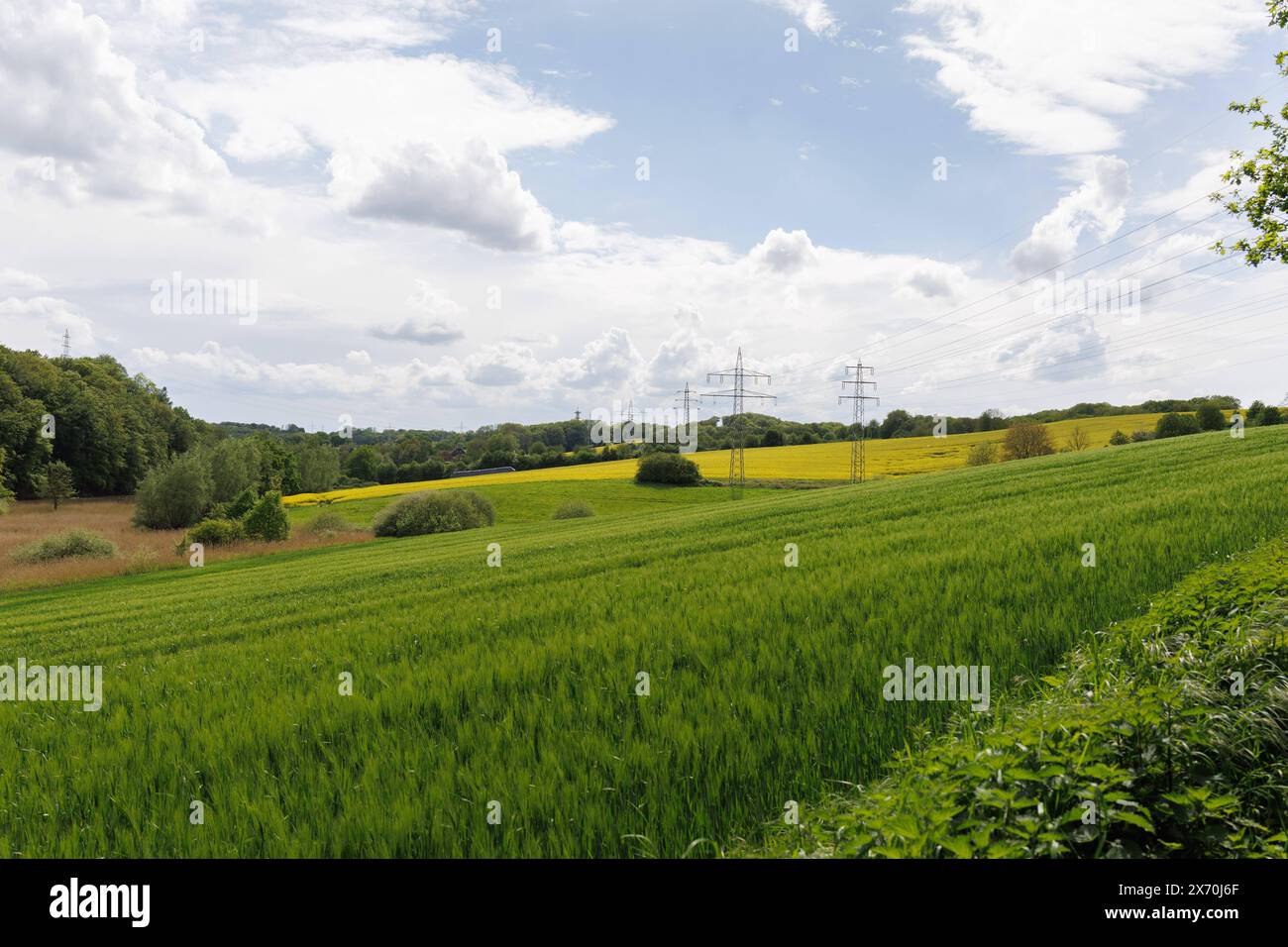 Sonnige Wanderung in Düsseldorf Im mai lud das malerische Rotthäuser Bachtal in Düsseldorf zu einem erholsamen Wandertag ein. Diese natürliche Oase bietet Wanderern die Möglichkeit, die Schönheit der Natur in unmittelbarer Nähe der Stadt zu erleben. DAS sanfte Rauschen des Baches begleitet die Besucher auf ihrem Weg durch das Tal, während sie von einer Vielzahl von Pflanzen und Tieren umgeben sind * en mai 2024, le pittoresque Rotthaeuser Bachtal de Düsseldorf a invité les visiteurs à profiter d'une journée de randonnée. Cette oasis naturelle offre aux randonneurs la possibilité de découvrir la beauté de natur Banque D'Images