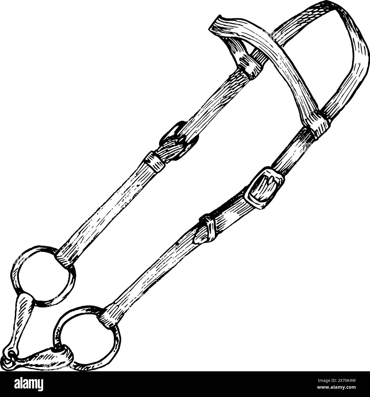 Illustration vectorielle graphique de bride brune, de snaffle doré ou de bit. EQUIPEMENT pour l'équitation. Isolé. Pour cartes, impressions, décor Illustration de Vecteur