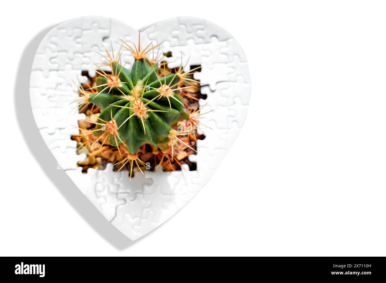 Puzzle en forme de coeur avec un cactus émergeant de son centre, sur un fond blanc propre. Complexités des relations et lutte émotionnelle Banque D'Images Puzzle en forme de coeur avec un cactus émergeant de son centre, sur un fond blanc propre. Complexités des relations et lutte émotionnelle Banque D'Images