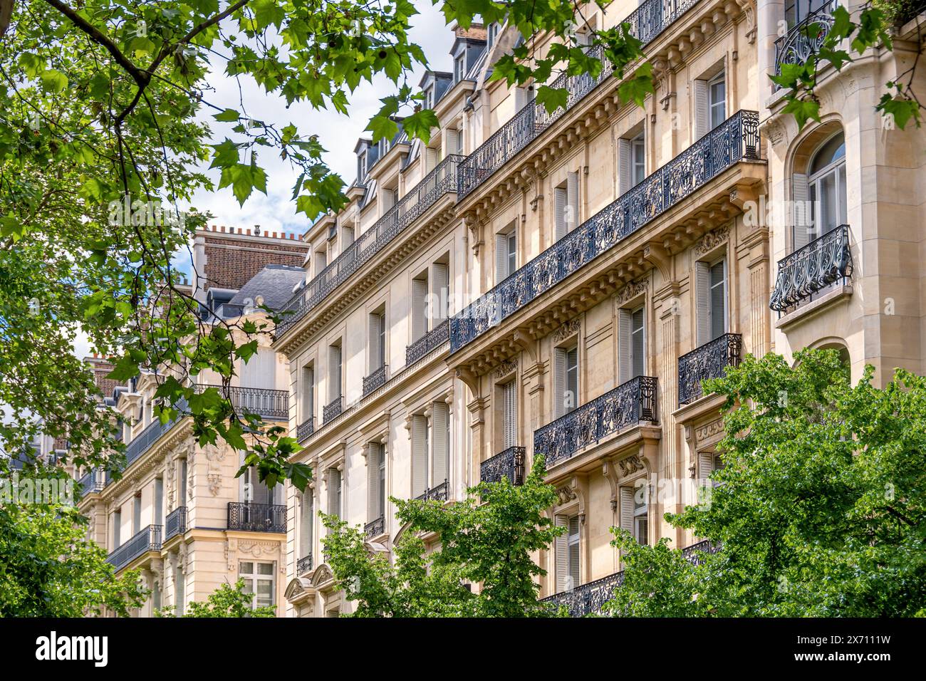 Façades de bâtiments résidentiels de style haussmannien parisien classique construites le long d'une avenue bordée d'arbres. Concept de marché immobilier résidentiel Banque D'Images