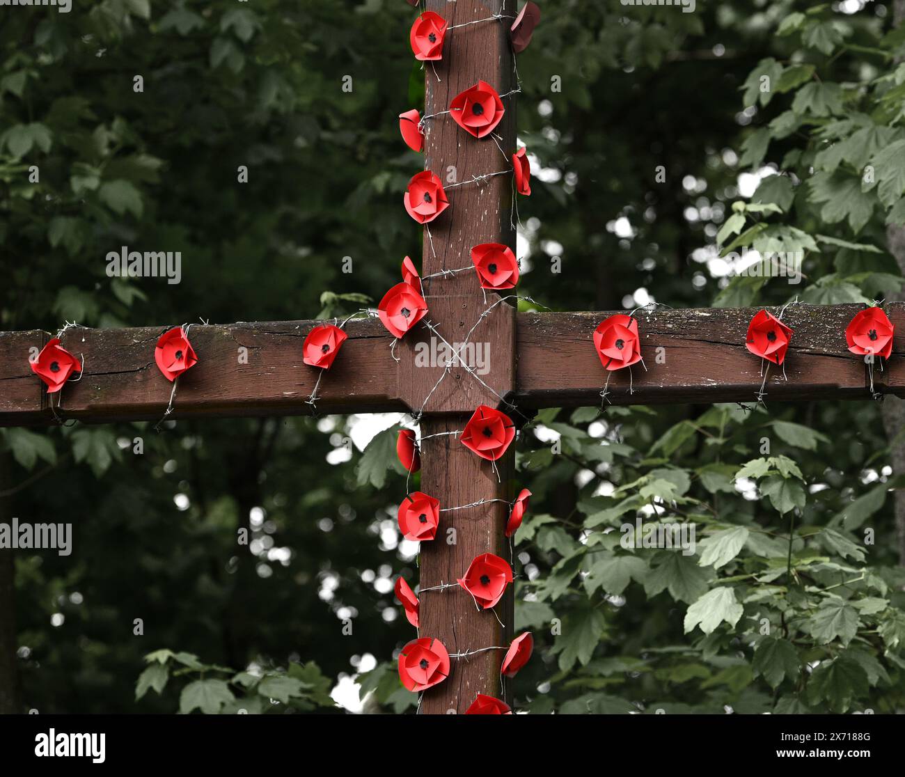 Une croix décorée de coquelicots rouges le jour du souvenir. Jour du coquelicot. Banque D'Images