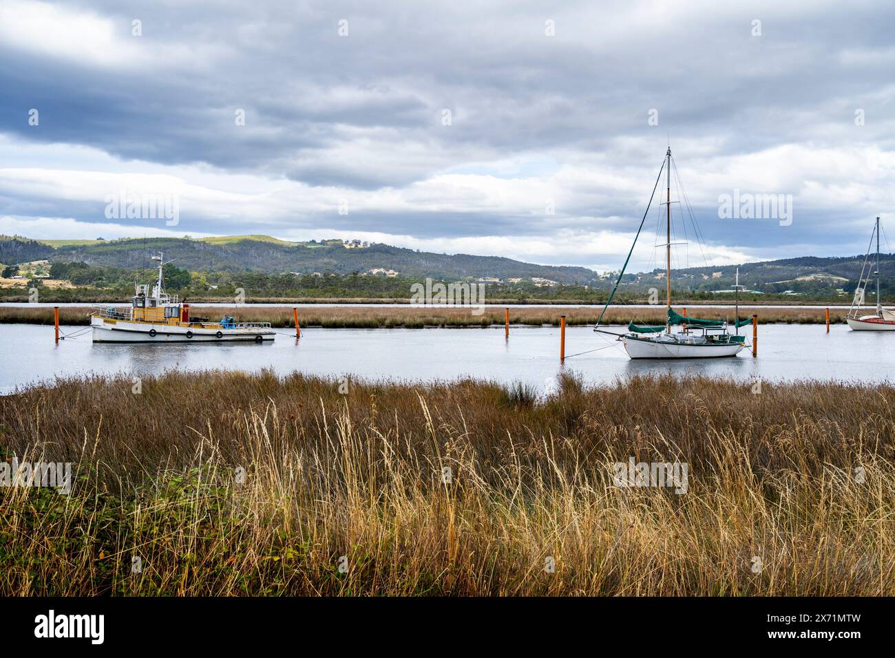 Remorqueurs ancrés entre les roseaux de Huon River, Franklin Tasmanie Banque D'Images