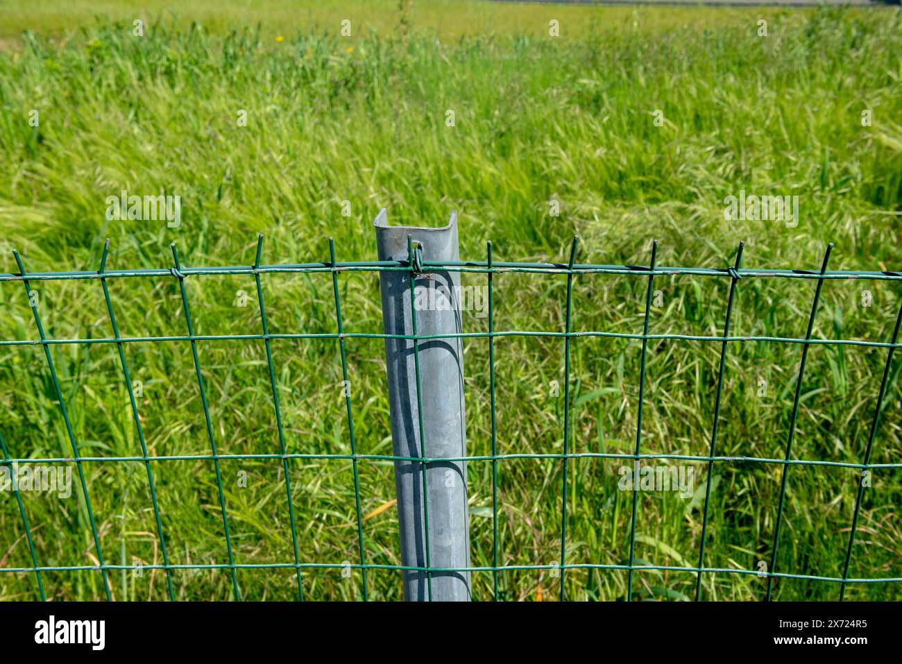 Clôture de frontière dans un champ avec poteau en acier galvanisé et maille rectangulaire électro-soudée. Les limites de la propriété sont délimitées par des poteaux et des filets. Banque D'Images