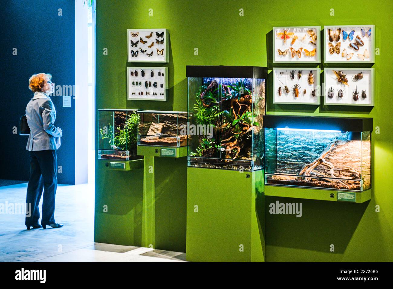 Brno, République tchèque. 16 mai 2024. L’exposition A Thousand faces of Amazonia met en valeur la diversité culturelle et naturelle de la Grande Amazonie et donne un aperçu de la vie des populations indigènes de cette vaste et variée région au Pavillon Anthropos du Musée morave de Brno, Tchécoslovaquie, le 16 mai 2024. Crédit : Patrik Uhlir/CTK photo/Alamy Live News Banque D'Images