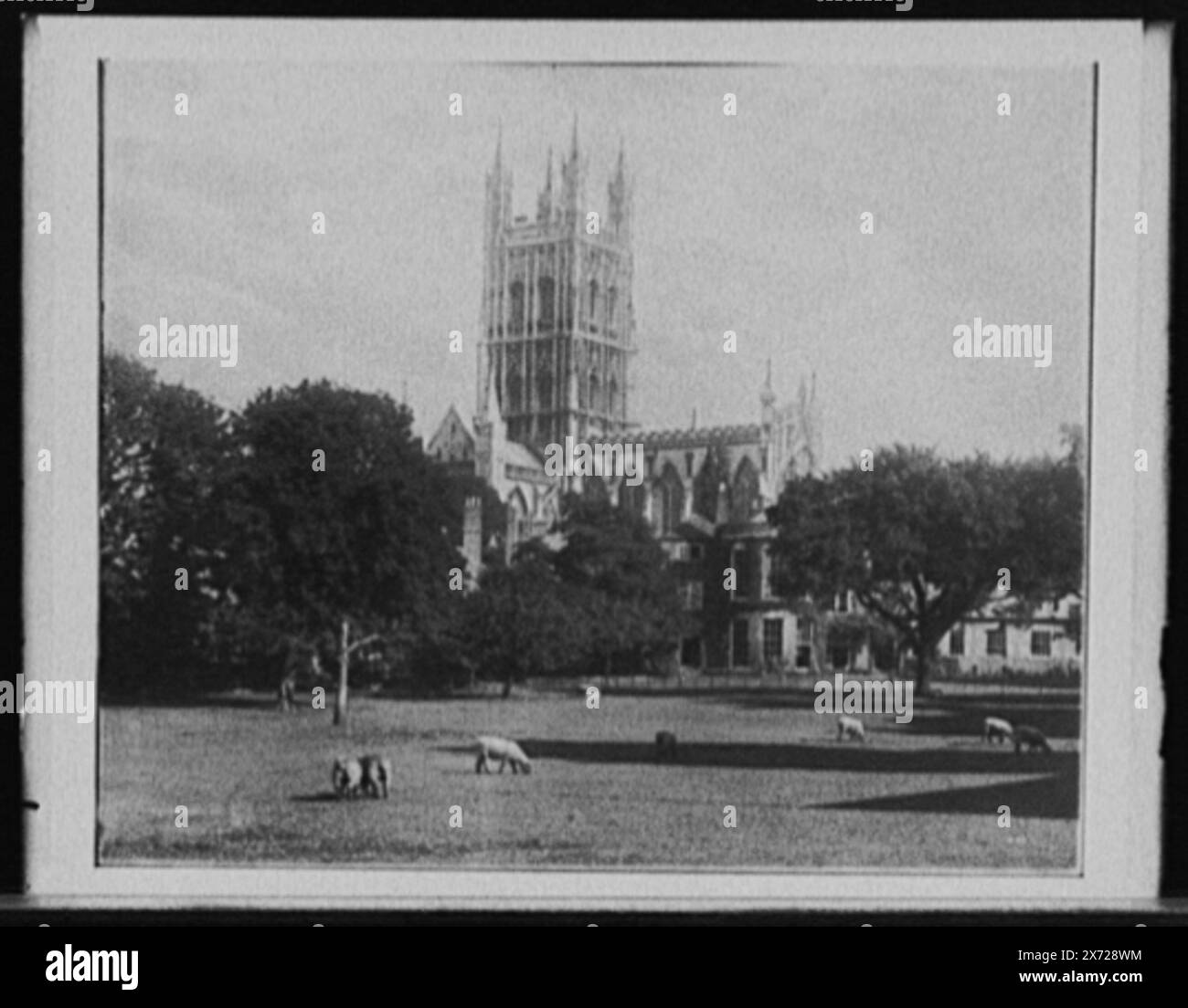 Cathédrale de Gloucester, Angleterre, titre tiré de la veste., numéro similaire à la série de cathédrales anglaises dans Detroit catalogue J, Supplément (1901-1906)., image vidéocassette latéralement inversée., Detroit Publishing Co. No. 0910., Gift ; State Historical Society of Colorado ; 1949, Cathedrals. , Angleterre, Gloucestershire, Gloucester. Banque D'Images