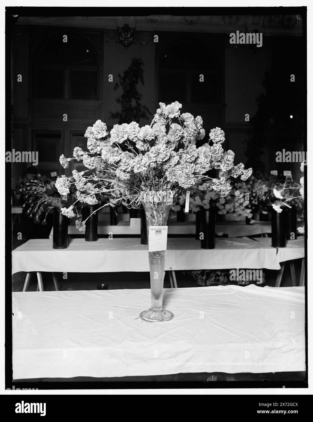 Premier prix, classe N. pour la médaille Lawson, American Carnation Society Exhibition, Detroit, Mich., titre tiré de la veste., Detroit Publishing Co. No. 043066., Gift ; State Historical Society of Colorado ; 1949, Awards. , Flower Shows. , Œillets. , États-Unis, Michigan, Detroit. Banque D'Images