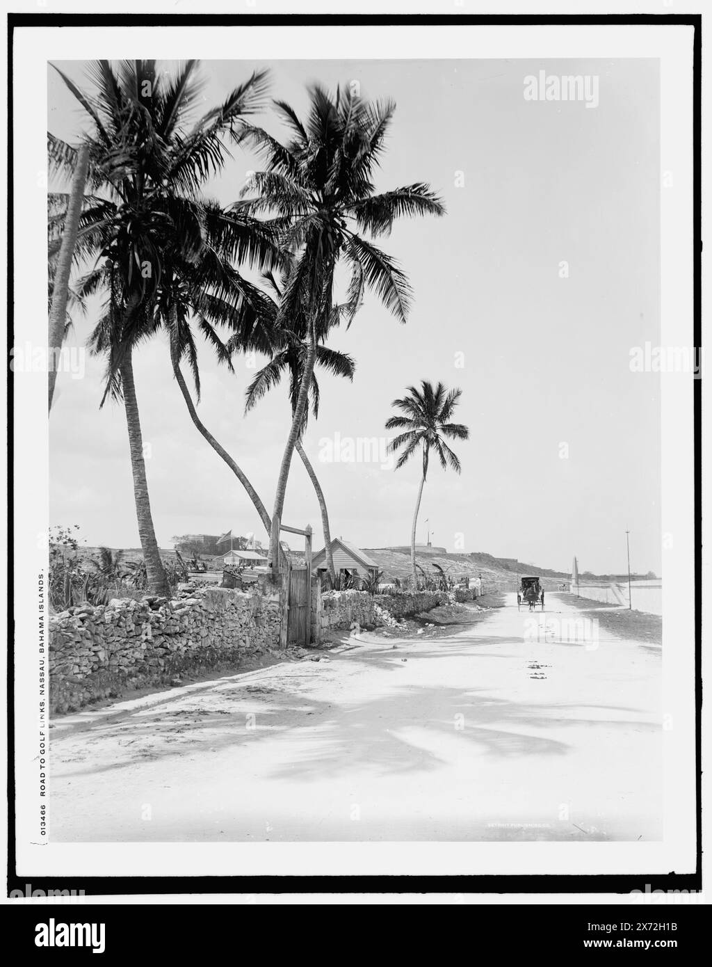 Road to golf links, Nassau, Bahama Islands, date basée sur Detroit, catalogue J Supplement (1901-1906)., 'WJ' on jacket., Detroit Publishing Co. No. 013466., Gift ; State Historical Society of Colorado ; 1949, Streets. , Bahamas, Nassau. Banque D'Images
