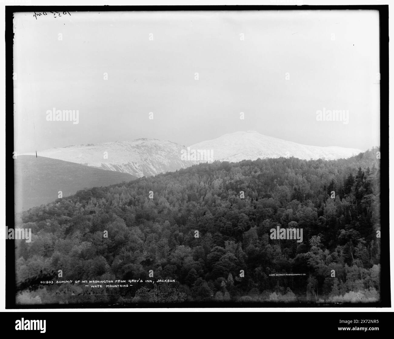 Sommet du Mt. Washington de Gray's Inn, Jackson, White Mountains, '1055 dup' sur négatif., Detroit Publishing Co. No. 011803., Gift ; State Historical Society of Colorado ; 1949, Mountains. , États-Unis, New Hampshire, White Mountains. , États-Unis, New Hampshire, Washington, Mount. , États-Unis, New Hampshire, Jackson. Banque D'Images