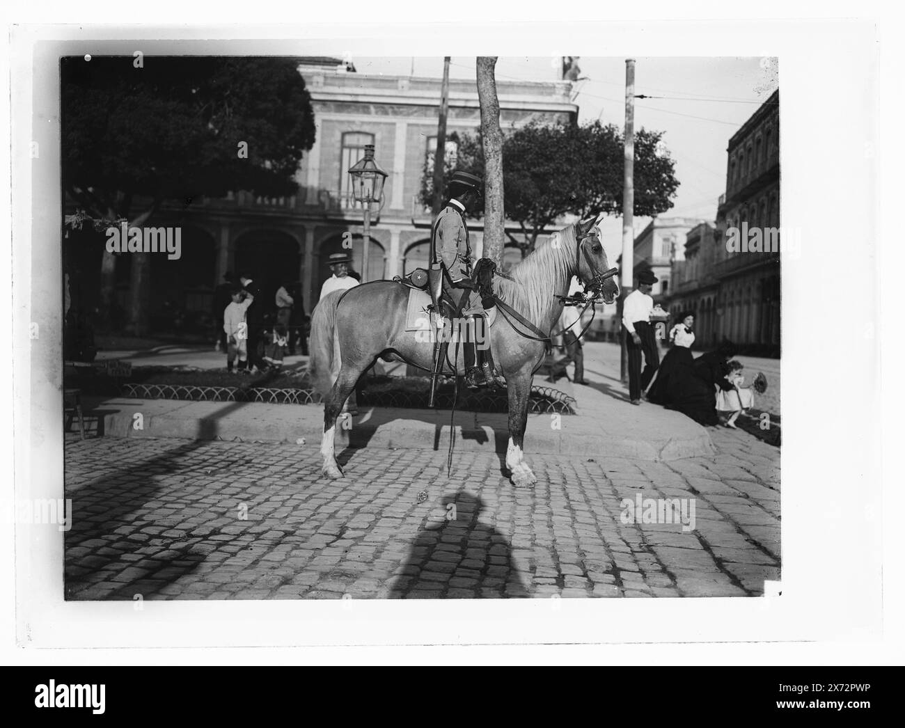 Un policier monté, titre, date et lieu de Detroit, catalogue P (1906)., Detroit Publishing Co. No. 09212., Gift ; State Historical Society of Colorado ; 1949, Mounted police. , Rues. , Cuba, la Havane. Banque D'Images
