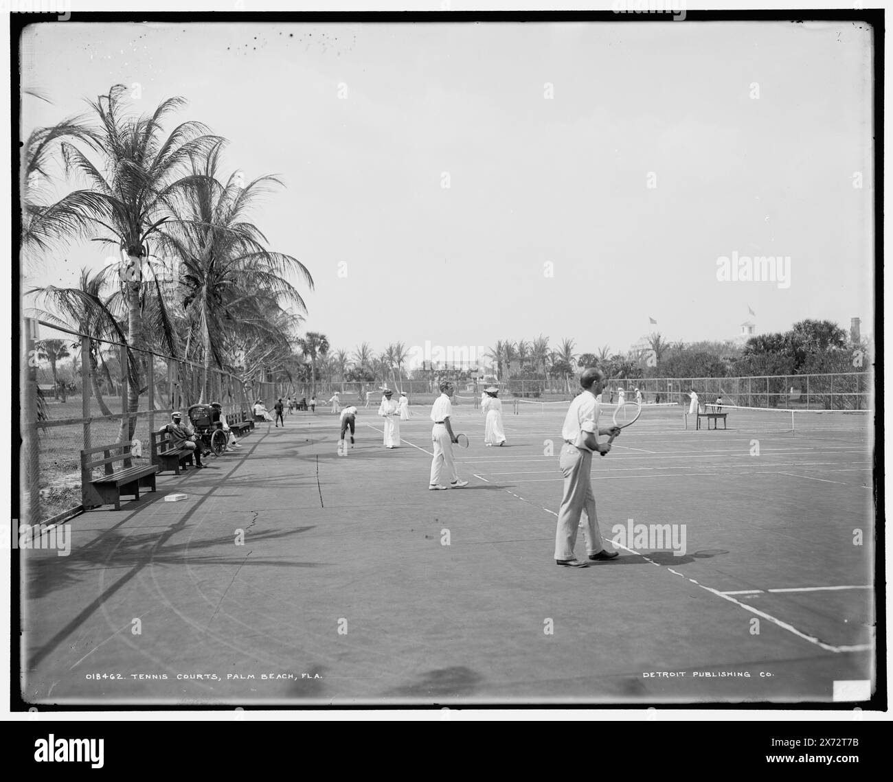 Courts de tennis, Palm Beach, Fla., '556' sur négatif., Detroit Publishing Co. no. 018462., Gift ; State Historical Society of Colorado ; 1949, Tennis. , États-Unis, Floride, Palm Beach. Banque D'Images