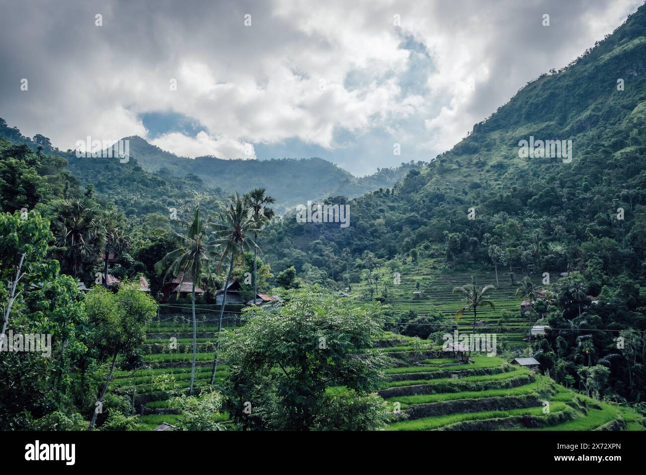 Effet de lumière fascinant dans les montagnes de Bali avec terrasses de riz Banque D'Images