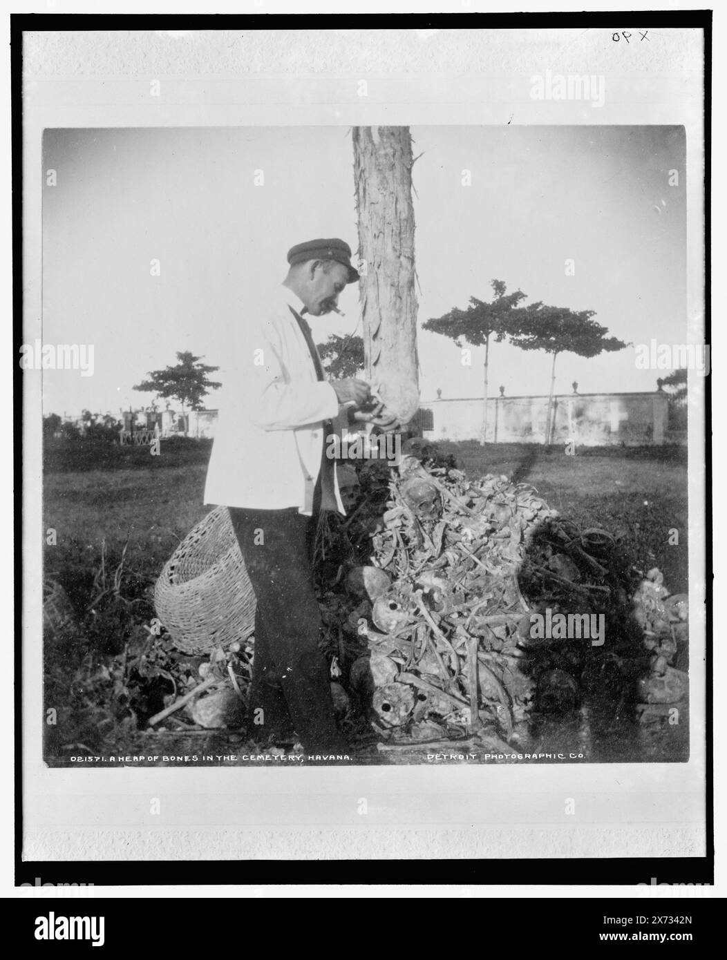 Un tas d'os dans le cimetière Necropolis Cristobal Colon, la Havane, 'X 90' sur négatif., Detroit Publishing Co. 021571., Gift ; State Historical Society of Colorado ; 1949, ouvriers. , Bones. , Cimetières. , Cuba, la Havane. Banque D'Images