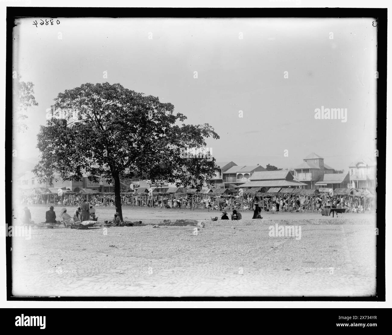 Market Day, Port-au-Prince, Hayti sic, W.I., Detroit Publishing Co. No. 08864., Gift ; State Historical Society of Colorado ; 1949, Markets. , Haïti, Port-au-Prince. Banque D'Images