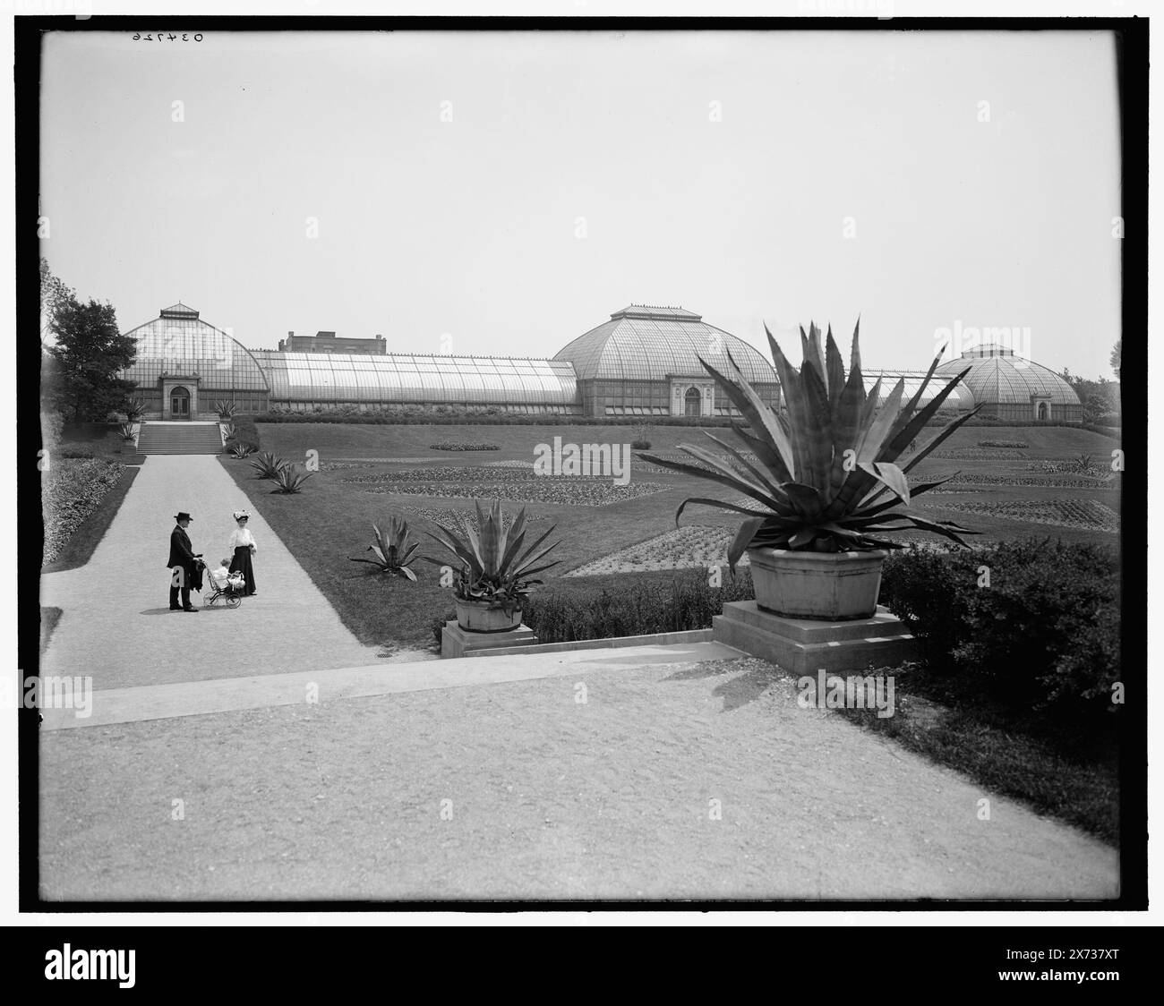 Conservatory, Washington Park, Chicago, Ill., titre tiré de la veste., probablement par Hans Behm., Detroit Publishing Co. no. 034726., Gift ; State Historical Society of Colorado ; 1949, Parks. , Serres. , États-Unis, Illinois, Chicago. Banque D'Images