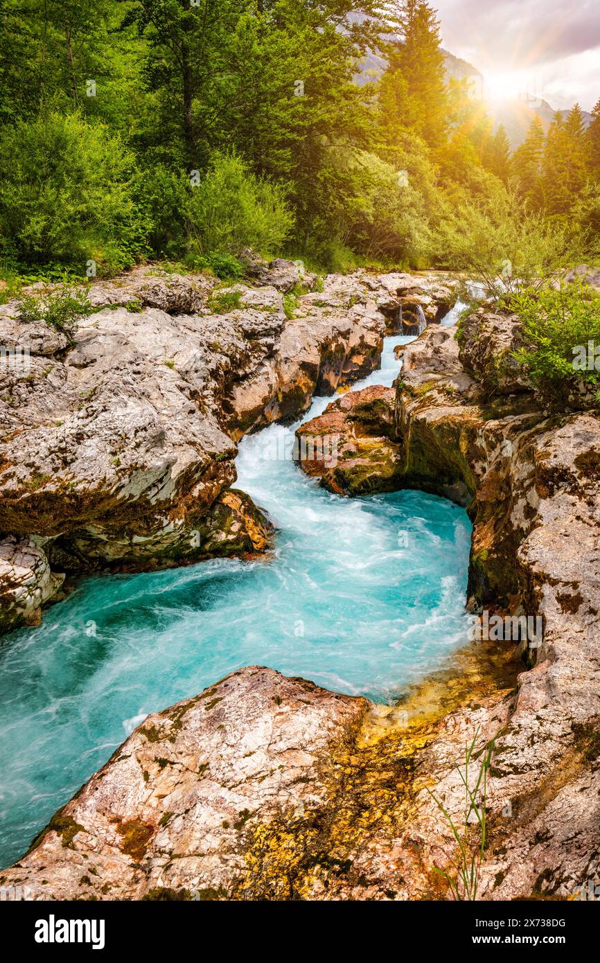 Incroyable gorge de la rivière Soca dans les Alpes slovènes. Gorge de la grande Soca (Velika korita Soce), Parc national du Triglav, Slovénie. Grand canyon de la rivière Soca, Bovec, Banque D'Images