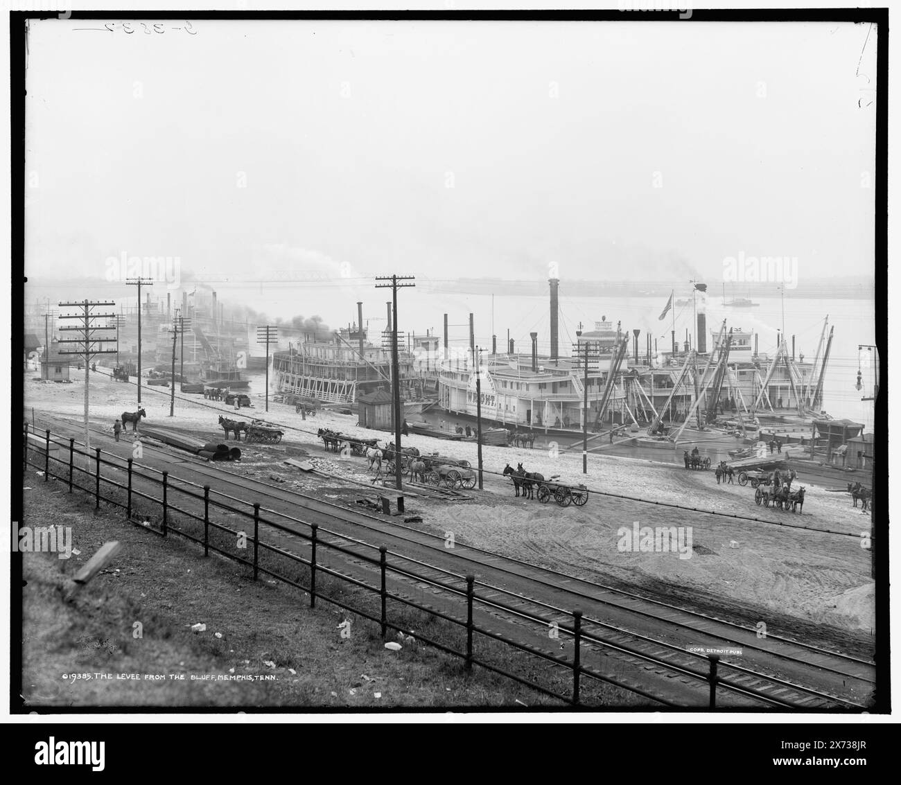 The Levee from the bluff, Memphis, Tenn., 'G 3832' et '32' sur négatif., Detroit Publishing Co. No. 019385., Gift ; State Historical Society of Colorado ; 1949, Steamboats. , Digues. , États-Unis, Tennessee, Memphis. Banque D'Images