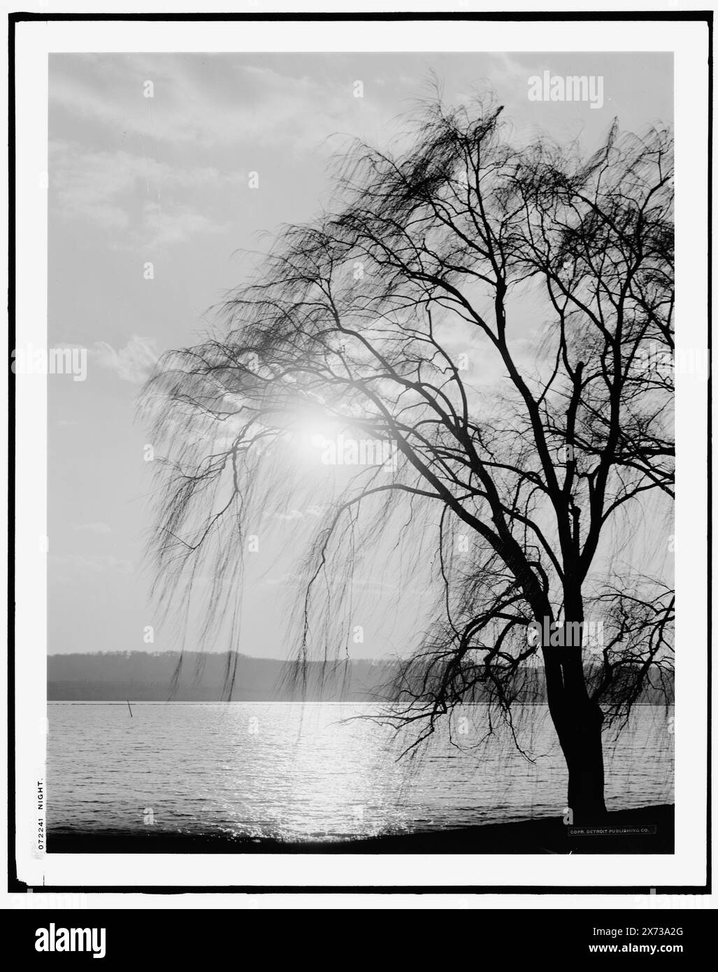 Nuit, transparent en verre correspondant (avec le même code de série) disponible sur vidéodisque cadre 1A-30985., titre de la veste : nuit, Washington, DC, au Potomac Park., 'g 8077' sur négatif et transparence., Detroit Publishing Co. no. 072241., Gift ; State Historical Society of Colorado ; 1949, Trees. , Parcs. , Nuit. , Front de mer. , États-Unis, District of Columbia, Washington (D.C.) Banque D'Images