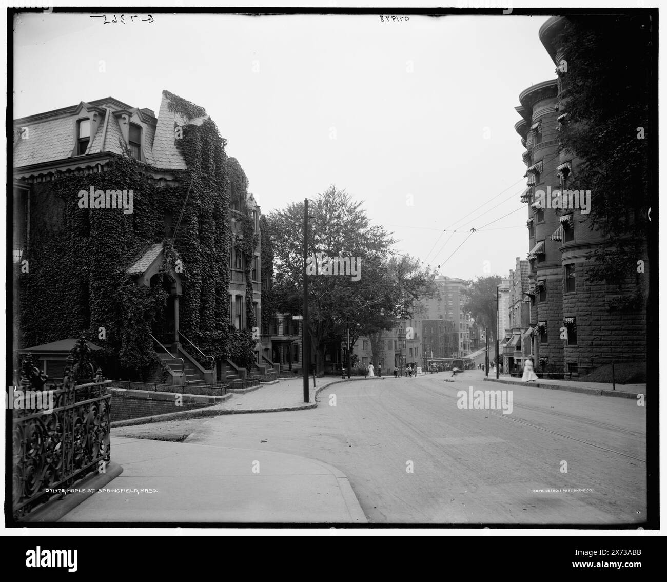 Maple. Street, Springfield, Mass., 'G 7365' sur négatif., Detroit Publishing Co. No. 071978., Gift ; State Historical Society of Colorado ; 1949, Streets. , États-Unis, Massachusetts, Springfield. Banque D'Images