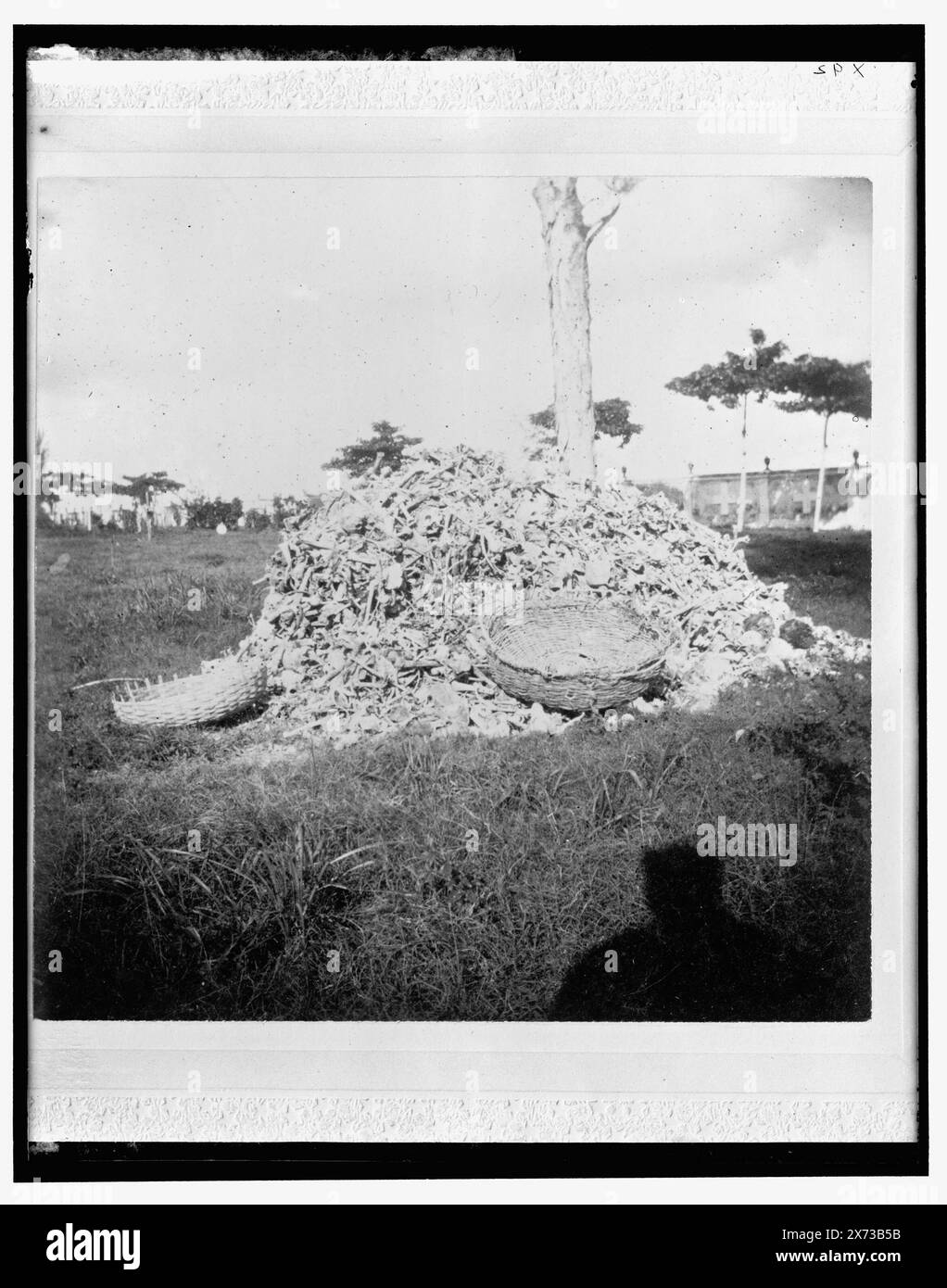 Tas d'os dans le cimetière, Necropolis Cristobal Colon, la Havane, titre de la veste., 'X 92' sur négatif., Detroit Publishing Co. No. 32437., Gift ; State Historical Society of Colorado ; 1949, cimetières. , Bones. , Cuba, la Havane. Banque D'Images