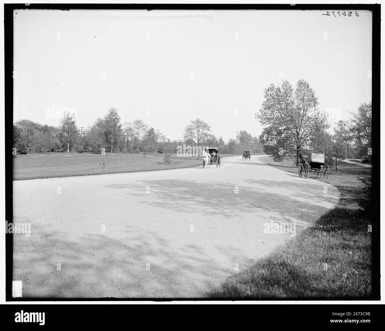 The Speedway, Seneca Park, Rochester, New York, titre de veste., '4031' sur négatif., Detroit Publishing Co. no. 036772., Gift ; State Historical Society of Colorado ; 1949, Parks. , Rues. , États-Unis, New York (State), Rochester. Banque D'Images