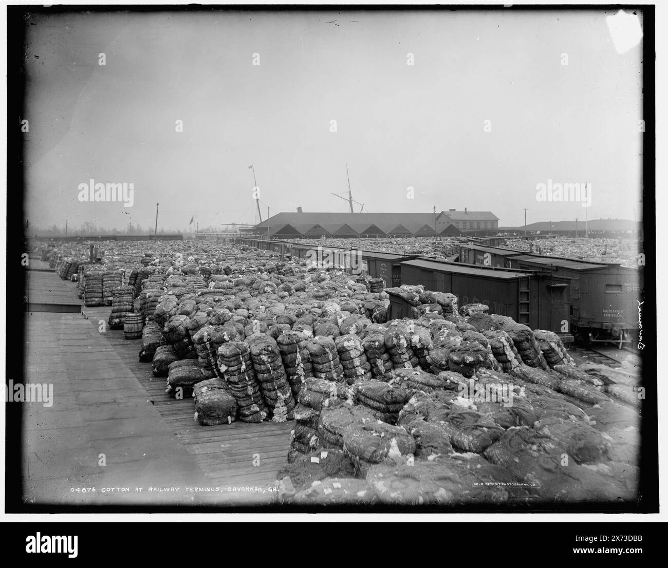 Cotton at Railway terminus, Savannah, Ga, date basée sur Detroit, catalogue J (1901)., '12' sur négatif., Detroit Publishing Co. No. 04876., Gift ; State Historical Society of Colorado ; 1949, Railroads. , Industrie du coton. , Expédition. , États-Unis, Géorgie, Savannah. Banque D'Images