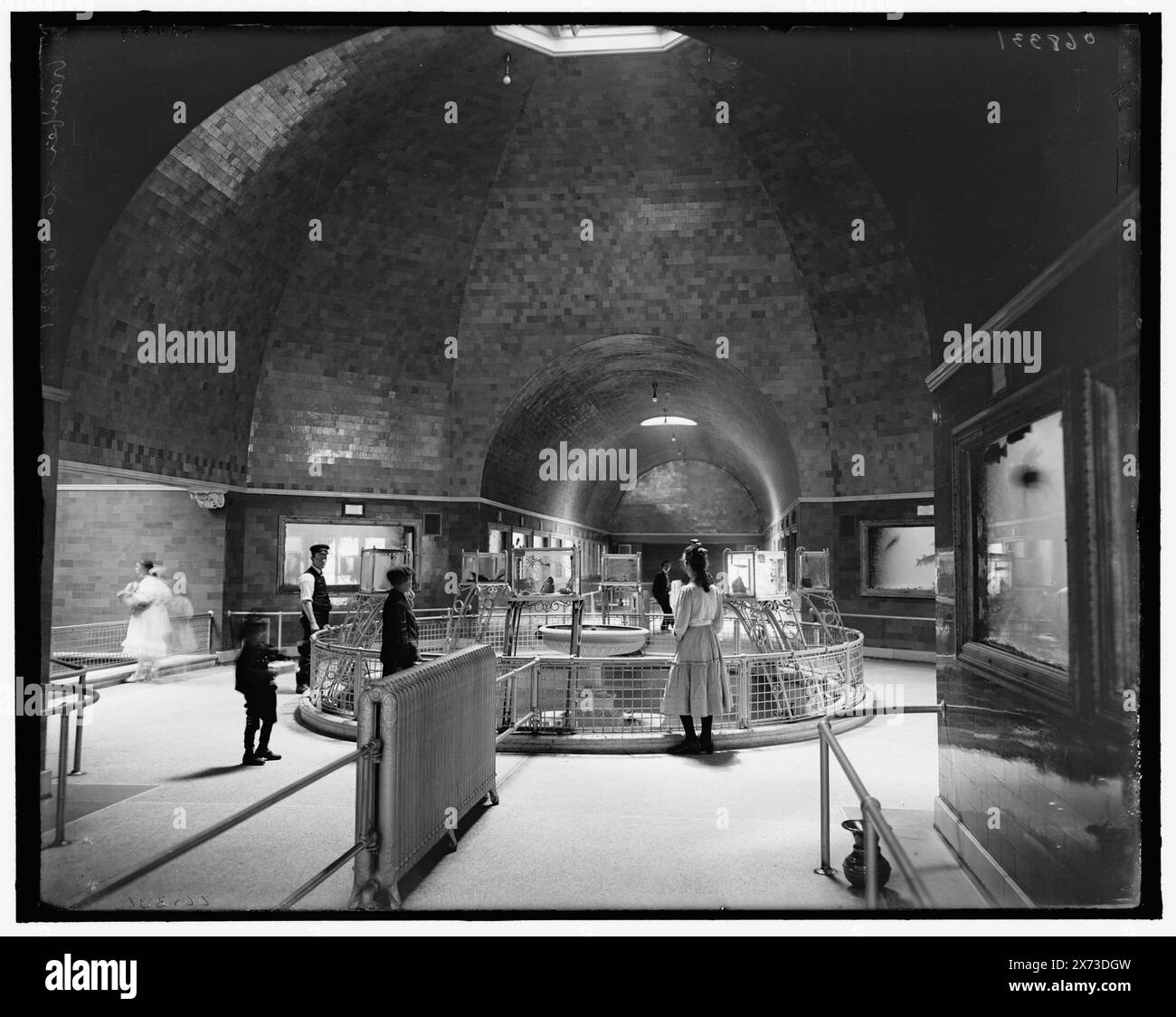 Aquarium, belle Isle Park, intérieur, Detroit, Mich., titre tiré de la veste., 'I-21' sur négatif., Detroit Publishing Co. no. 068331., Gift ; State Historical Society of Colorado ; 1949, Aquariums. , Intérieurs. , Parcs. , États-Unis, Michigan, Detroit. Banque D'Images