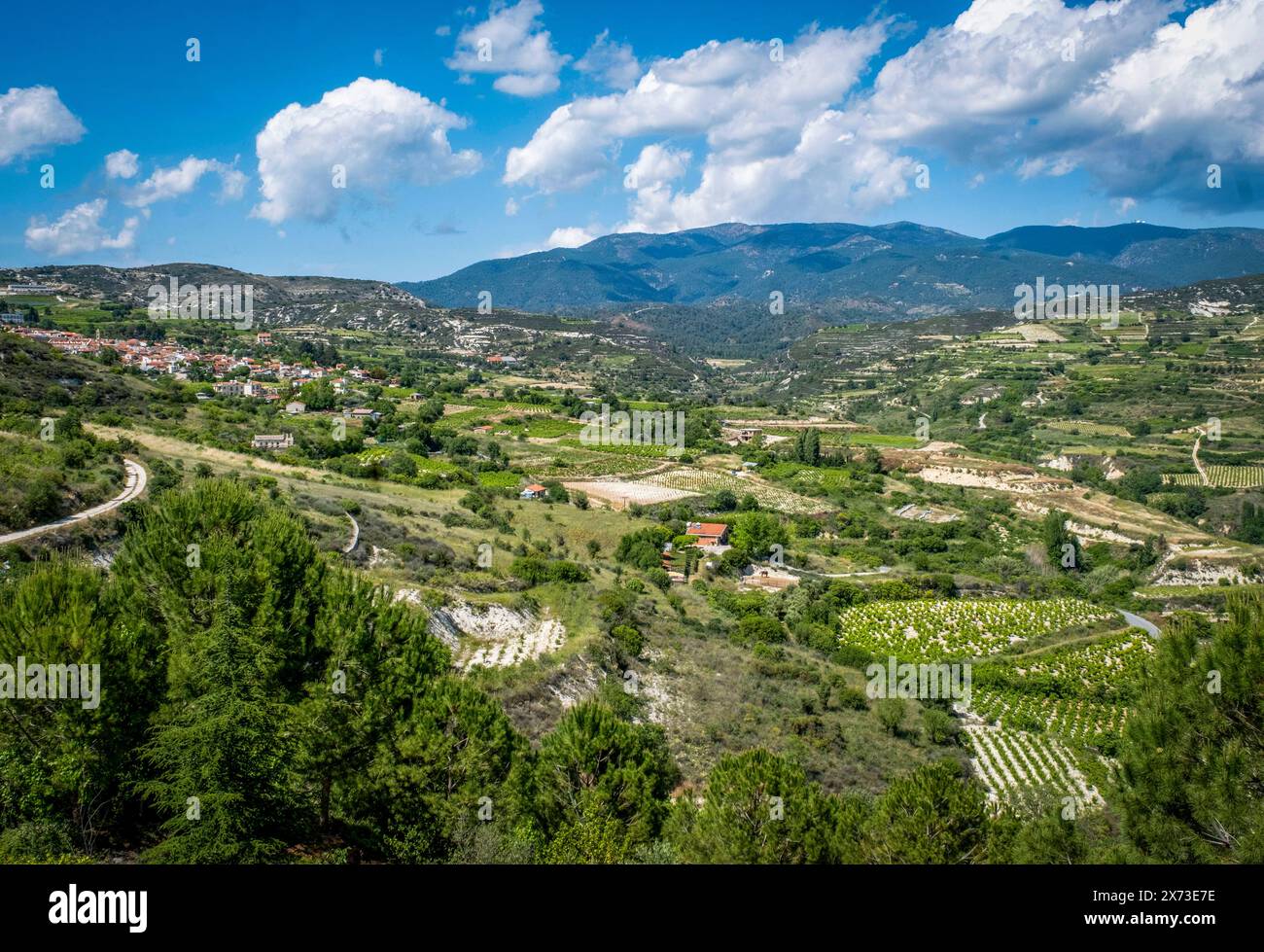 Vue sur les vignobles autour du village d'Omodos avec les montagnes de Troodos au loin, district de Limassol, Chypre. Banque D'Images