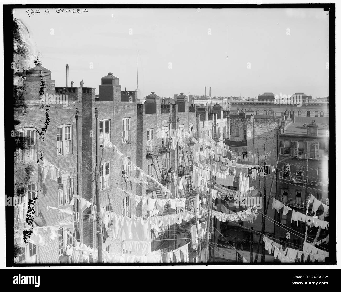 New York, N.Y., yard of tenement, titre tiré de la veste., 'H 734' sur négatif., Detroit Publishing Co. No. 036490., Gift ; State Historical Society of Colorado ; 1949, Tenement Houses. , Blanchisserie. , États-Unis, New York (State), New York. Banque D'Images