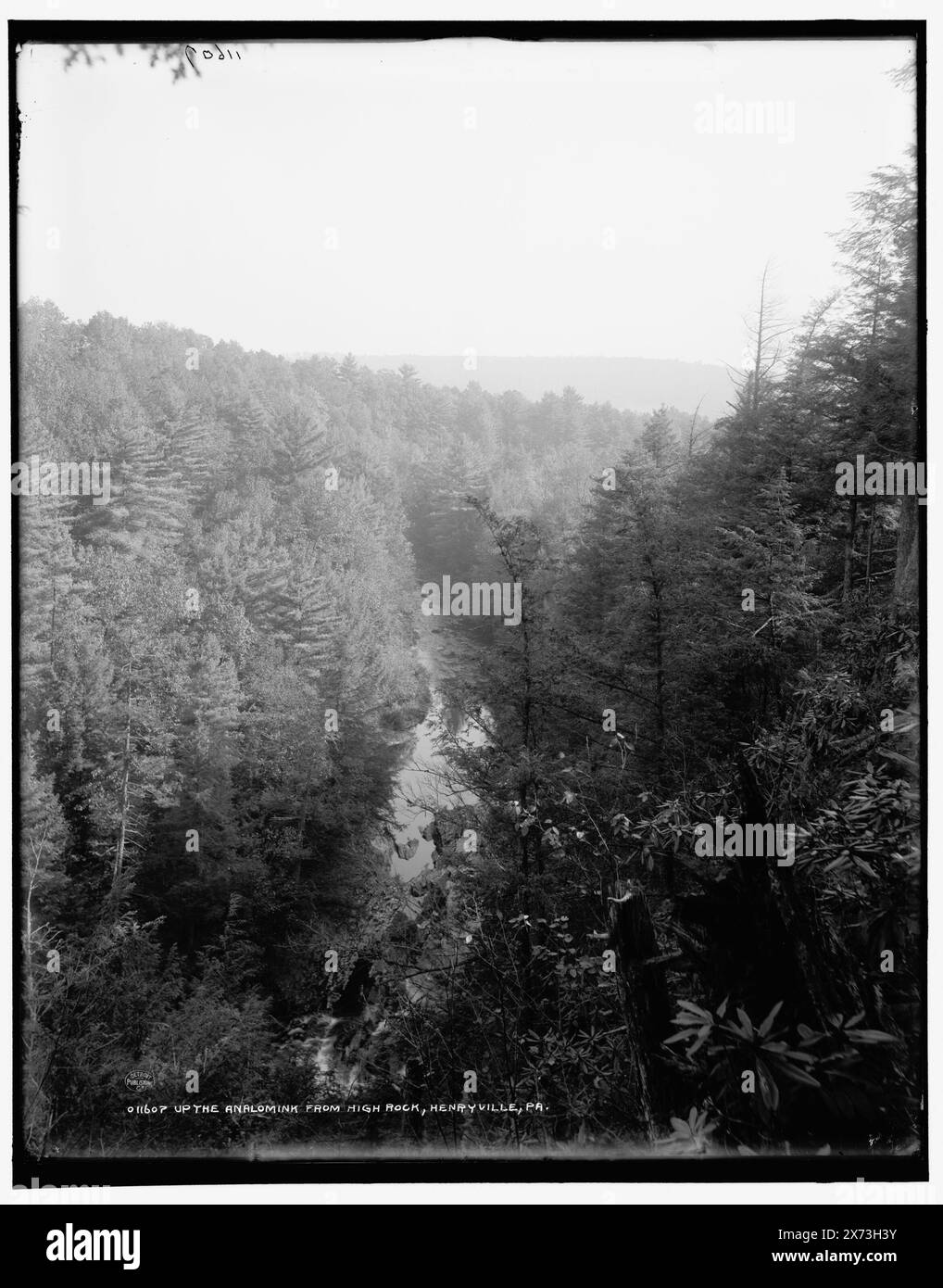 Up the Analomink from high rock, Henryville, Pa., date basée sur Detroit, catalogue J (1901)., Detroit Publishing Co. No. 011607., Gift ; State Historical Society of Colorado ; 1949, Rivers. , États-Unis, Pennsylvanie, Brodheads Creek. , États-Unis, Pennsylvanie, Henryville. Banque D'Images