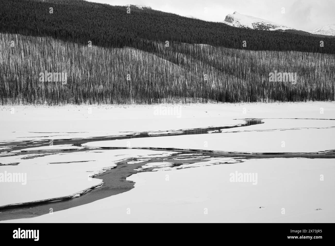 Canada, Alberta, parc national Jasper, lac Medicine Banque D'Images