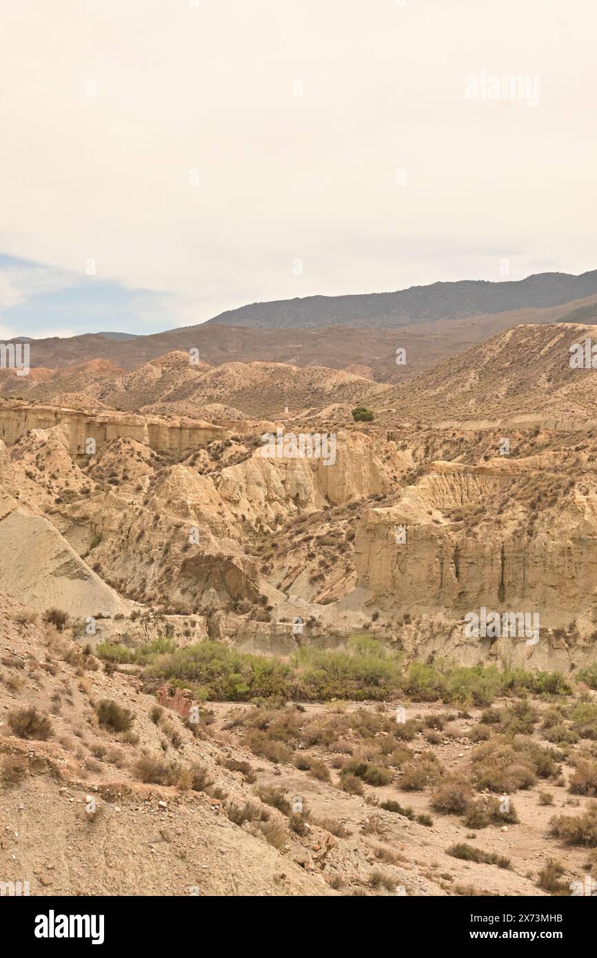 Paysage désertique accidenté avec des collines rocheuses, une végétation clairsemée et des montagnes lointaines sous un ciel partiellement nuageux Banque D'Images