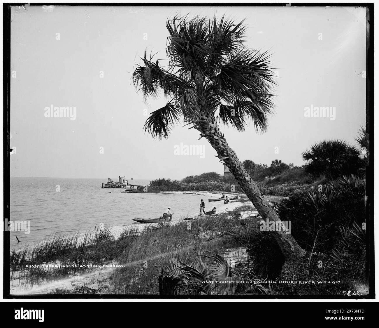 Turkey Creek Landing, Indian River, 'W.H.J. & Co.' sur négatif., Detroit Publishing Co. no. 03637., Gift ; State Historical Society of Colorado ; 1949, Waterfronts. , Baies. , États-Unis, Floride, Indian River. , États-Unis, Floride, Turkey Creek. Banque D'Images