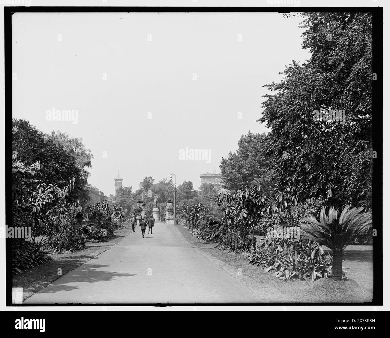 Across public Garden, Boston, Mass., titre de la veste., '3361' sur négatif., Detroit Publishing Co. no. 034386., Gift ; State Historical Society of Colorado ; 1949, Parks. , Passerelles. , États-Unis, Massachusetts, Boston. Banque D'Images
