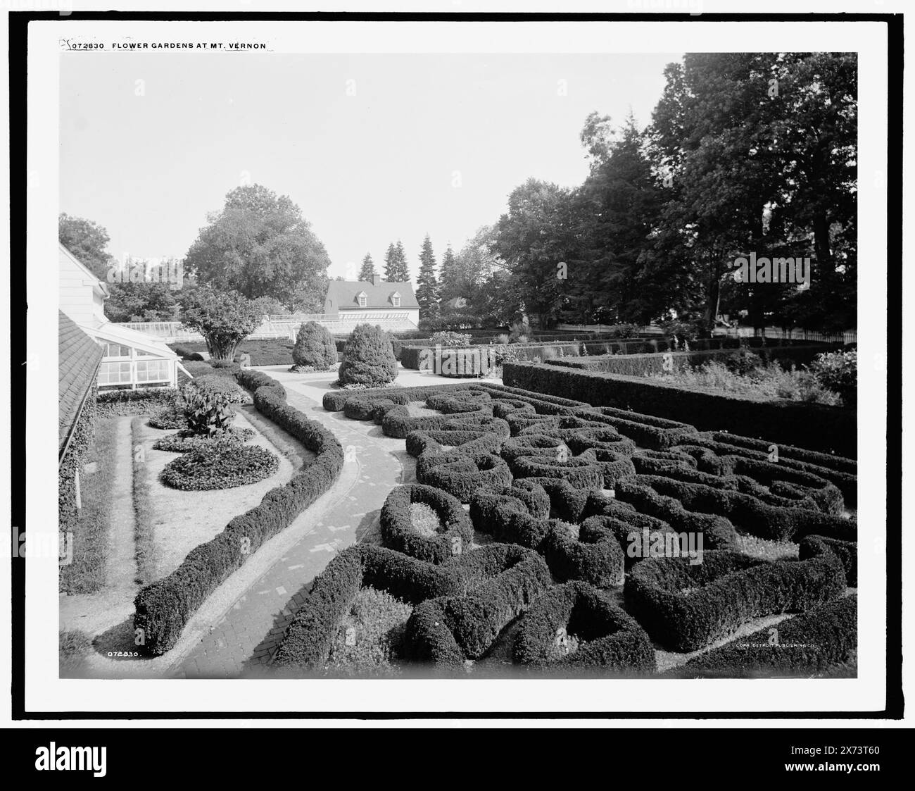 Jardins fleuris à Mt. Vernon, 'G 9037' sur négatif., Detroit Publishing Co. No. 072830., Gift ; State Historical Society of Colorado ; 1949, Washington, George,,, 1732-1799, maisons et repaires. , Estates. , Topiary Work. , États-Unis, Virginie, Mount Vernon (Estate) Banque D'Images