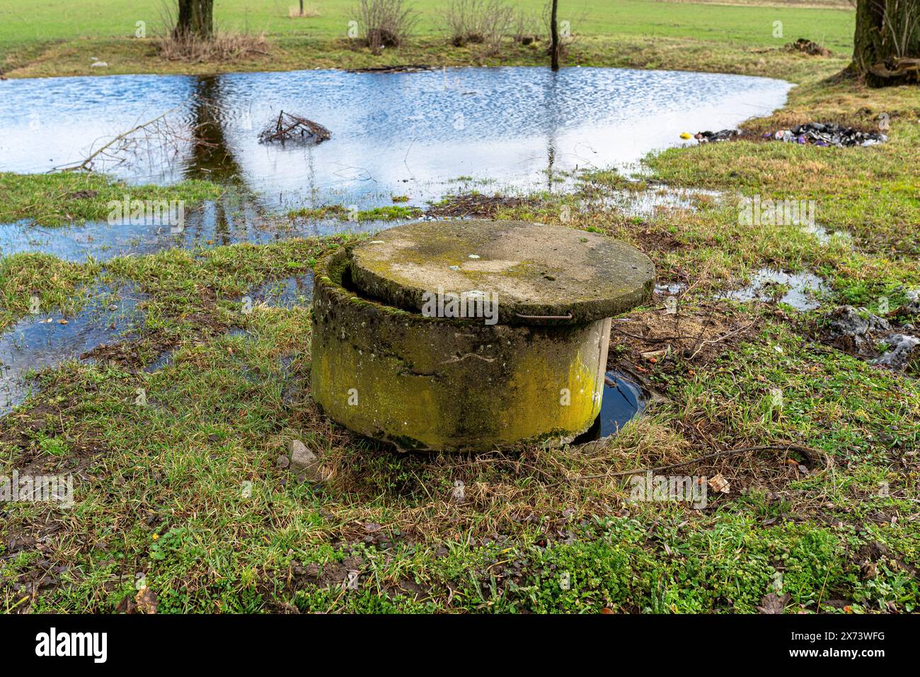 Un marais dans un champ dans un village avec des arbres poussant à proximité et un bien visible. Banque D'Images