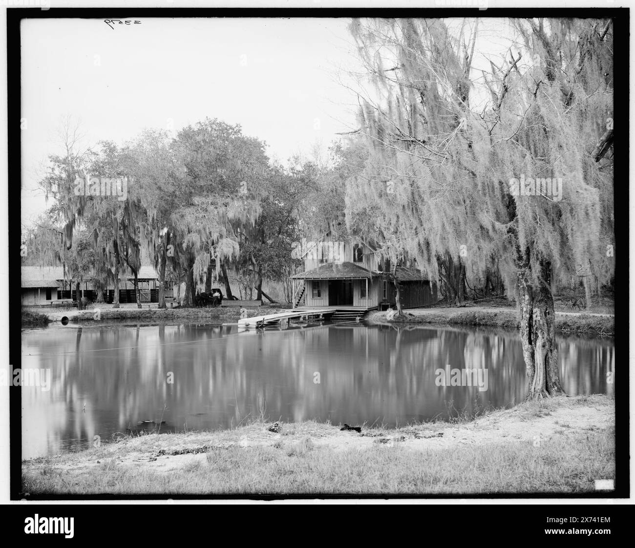 DeLeon Springs près de de Land, Fla., titre de veste., '105' sur négatif., Detroit Publishing Co. no. 033519., Gift ; State Historical Society of Colorado ; 1949, Springs. , États-Unis, Florida, de Land. Banque D'Images