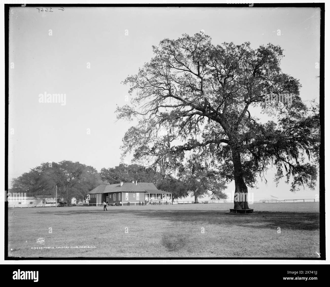 Mobile Country Club, Mobile, Ala., 'G 3668' sur négatif., Detroit Publishing Co. No. 019449., Gift ; State Historical Society of Colorado ; 1949, Country clubs. , États-Unis, Alabama, Mobile. Banque D'Images