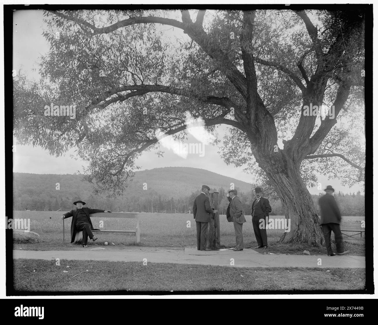 Vieille manœuvre, Turner's Spring, Mt. Agassiz, Bethlehem, N.H., titre tiré de la veste., 'G 8595' sur négatif., Detroit Publishing Co. No. 500095., Gift ; State Historical Society of Colorado ; 1949, Springs. , Conduites forcées. , Manger et boire. , États-Unis, New Hampshire, Bethlehem. , États-Unis, New Hampshire, White Mountains. , États-Unis, New Hampshire, Agassiz, Mount. Banque D'Images