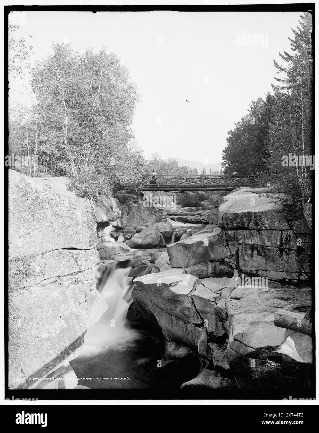 Upper Falls of the Ammonoosuc, White MTS., N.H., transparent en verre correspondant (avec le même code de série) disponible sur vidéodisque cadre 1A-30594., la lettre 'a' suit le titre., '3725 a' sur négatif., Detroit Publishing Co. No. 019746., Gift ; State Historical Society of Colorado ; 1949, Waterfalls. , Ponts piétonniers. , États-Unis, New Hampshire, White Mountains. , États-Unis, New Hampshire, rivière Ammonoosuc. Banque D'Images