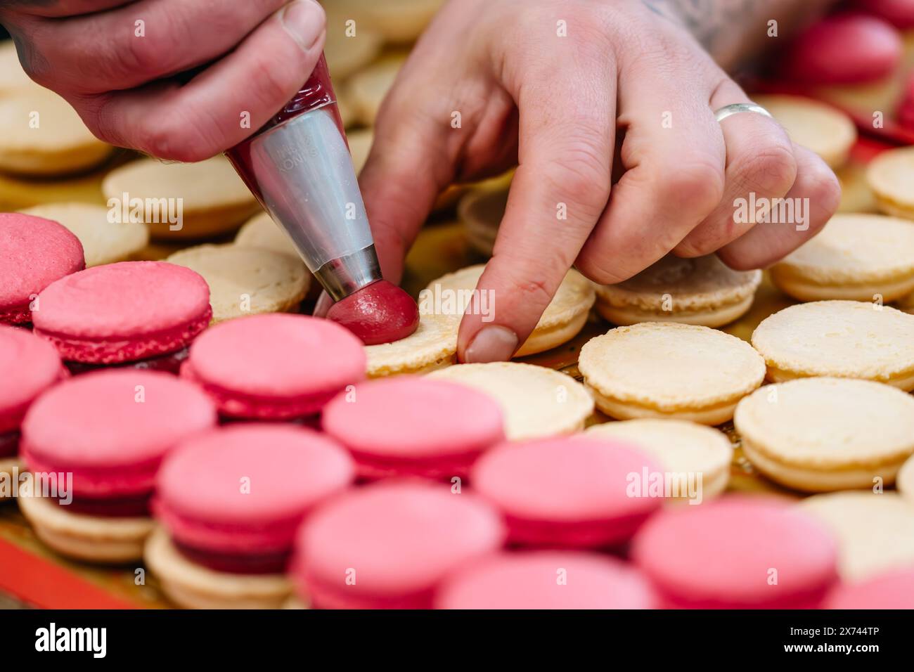 Mains de confiseur remplissant les macarons de crème ganache rose Banque D'Images
