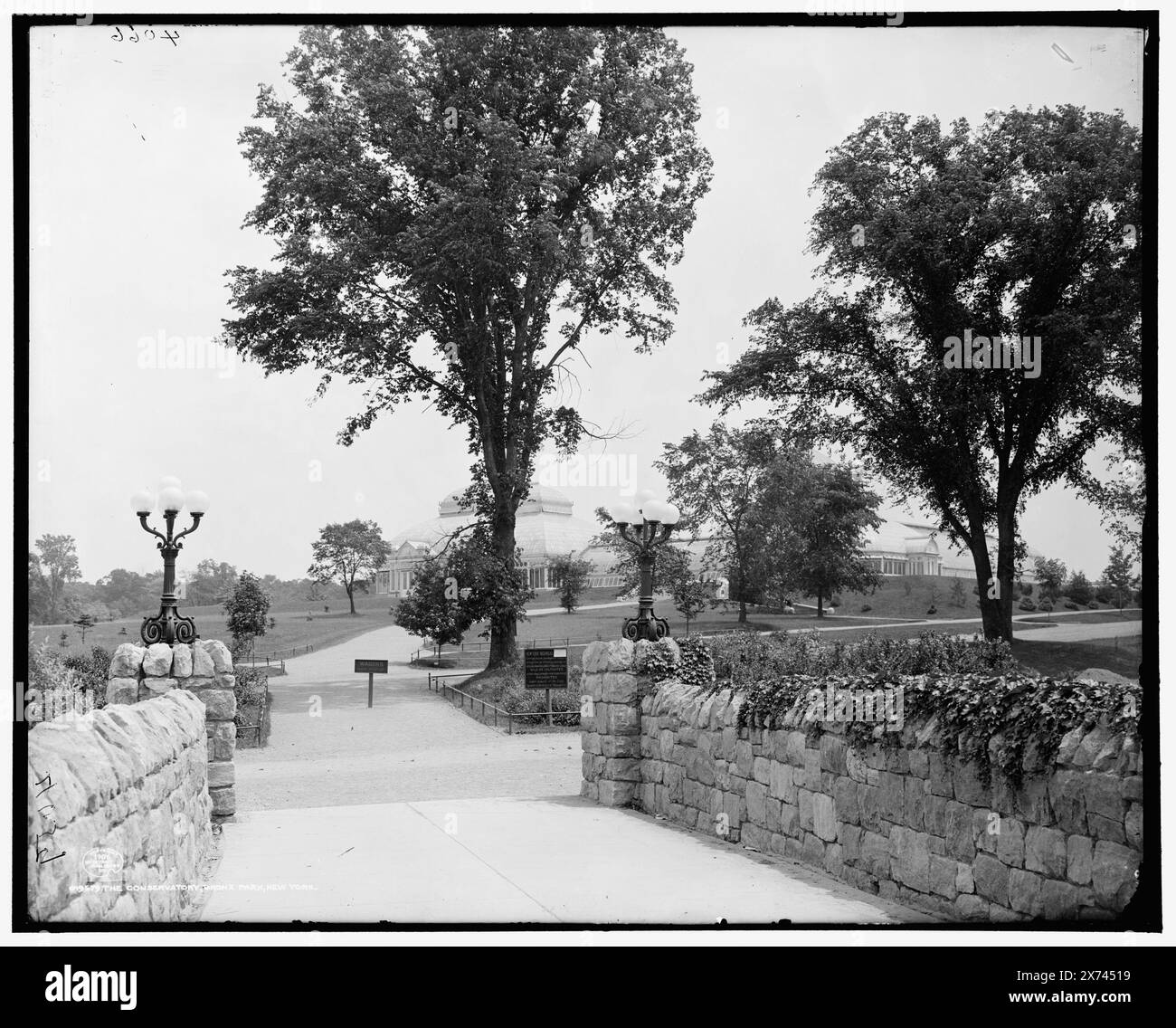 The Conservatory, Bronx Park, New York, transparent en verre correspondant (avec le même code de série) disponible sur vidéodisque cadre 1A-30561., New York Botanical Garden., '4066' sur négatif., Detroit Publishing Co. No. 019579., Gift ; State Historical Society of Colorado ; 1949, Greenhouses. , Parcs. , États-Unis, New York (State), New York. Banque D'Images